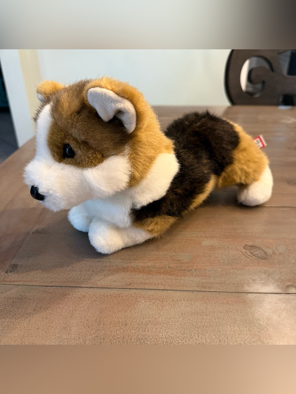 Douglas Cuddle Toys Kirby Tri-Colored Corgi plush dog collectible preowned